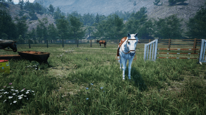 Ranch Simulator Ranch Simulator