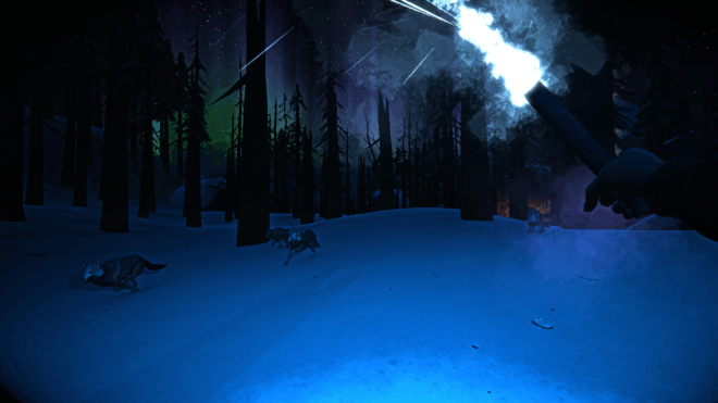 The Long Dark The Long Dark