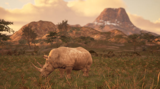 Animalia Survival Animalia Survival