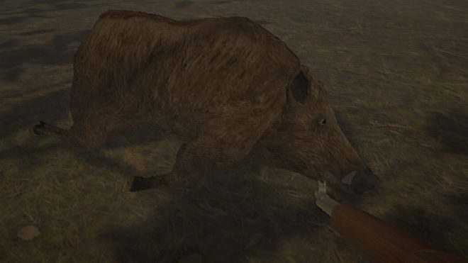 Hog Hunter 2021 Hog Hunter 2021