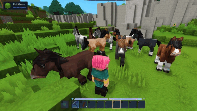 Aures Horse Skins Aures Horse Skins