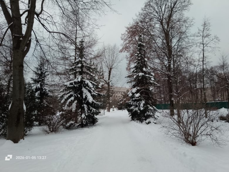 Основная камера