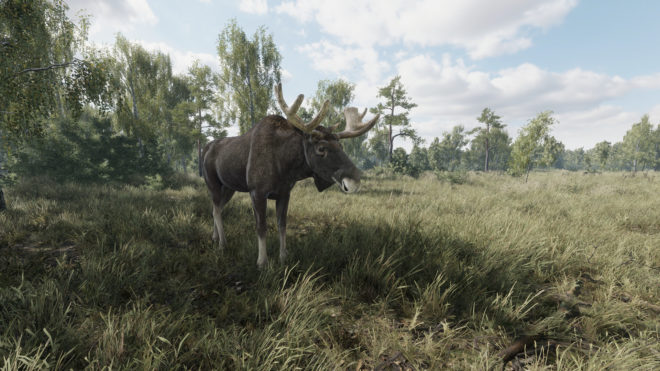 On the hunt On the hunt