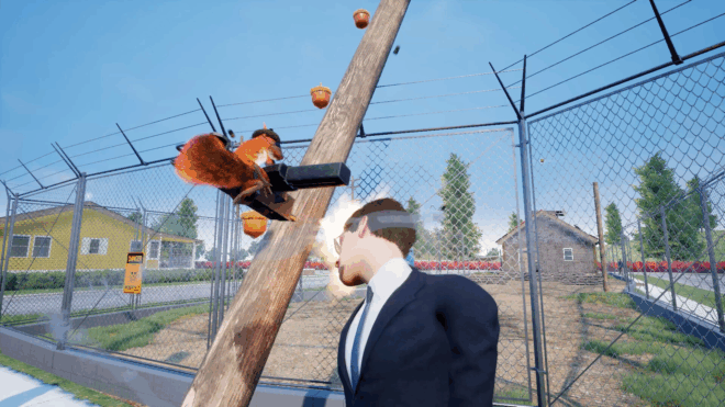 Squirrel with a Gun Squirrel with a Gun