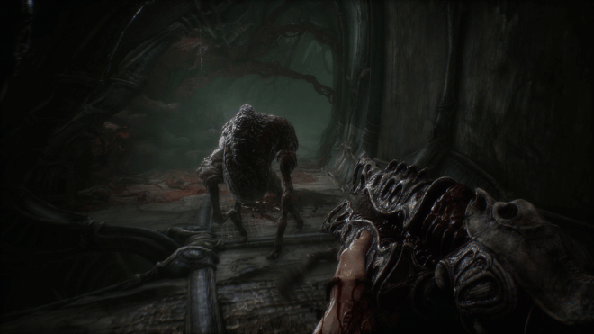 Scorn Scorn