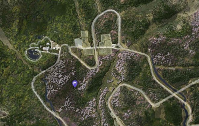 A screenshot of Kinkaku-Ji temple in Forza 6.