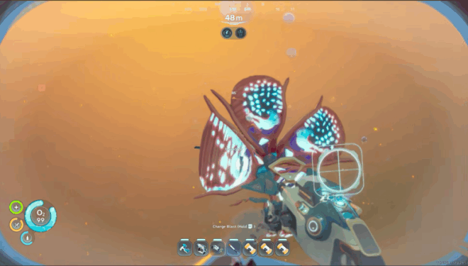 A small, dog-like Houndgar fish swimming near a coral structure