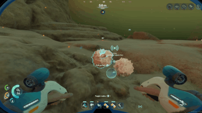 Gather Salt