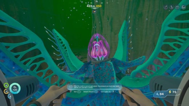 The player in Subnautica 2 approaches an open Bloom Core containing an Angel Comb in the Karakorum region.