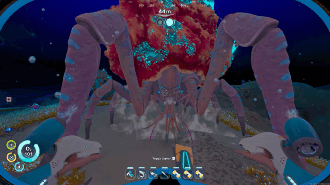 A large Coral Crab hiding beneath a dome of living coral on the ocean floor