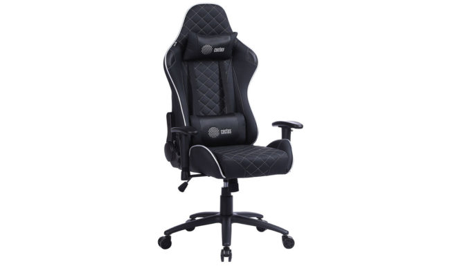 CACTUS CS-CHR-030BLS
