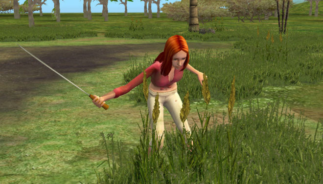 The Sims 2: Castaway