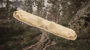 Гайд Gothic 1 Remake — где найти окаменелую древесину