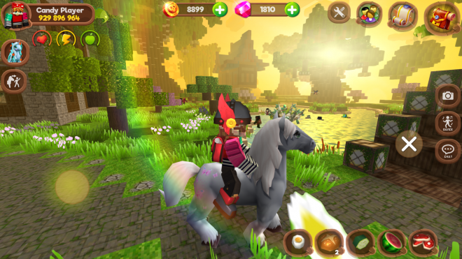 Pony World Craft Pony World Craft