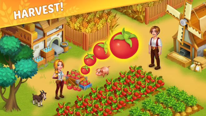 Dreamy Harvest Dreamy Harvest