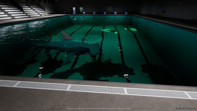 Sharks and Minnows Sharks and Minnows