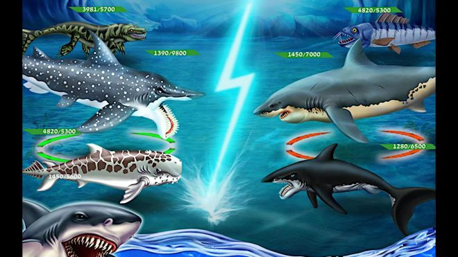 Shark World Shark World