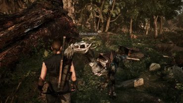 Гайд Gothic 1 Remake — как получить ездового падальщика