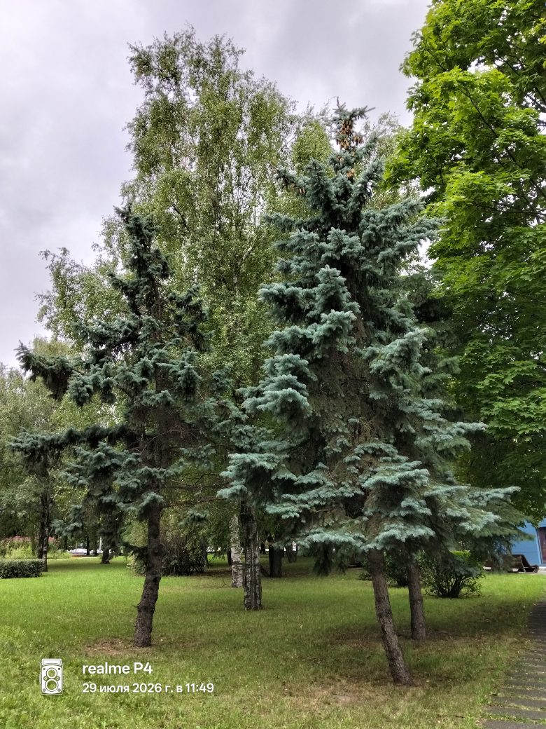 Основная камера