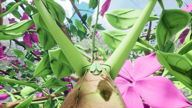 Nature & Life — Drunk On Nectar Nature & Life — Drunk On Nectar