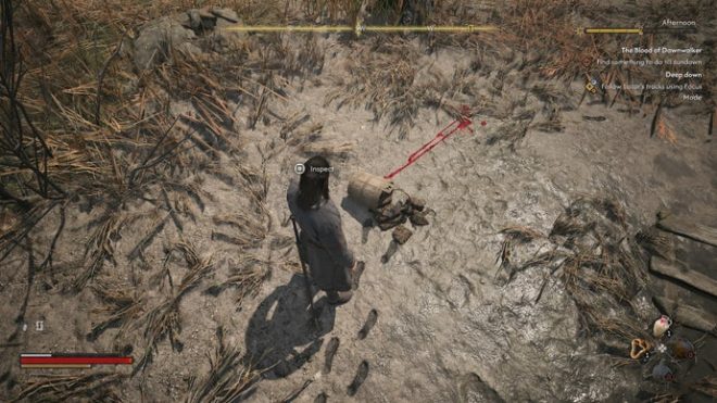 Coen inspects a bloody bucket in The Blood of Dawnwalker.