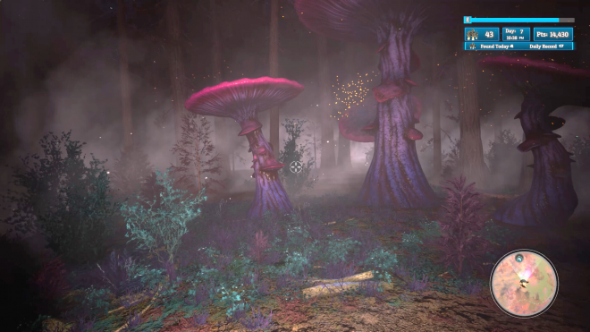 Morels: Out of this World Morels: Out of this World