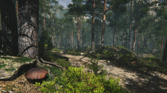 Mushroom Collector Simulator Mushroom Collector Simulator