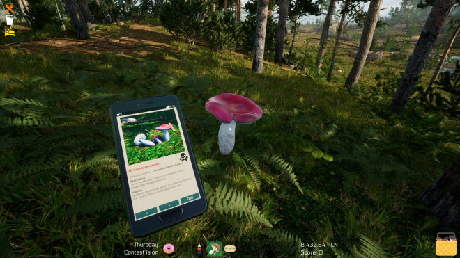 Mushroom Season Mushroom Season